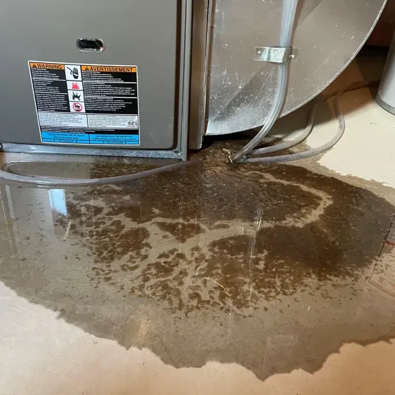 Appliance Leak Cleanup in Kansas City, MO